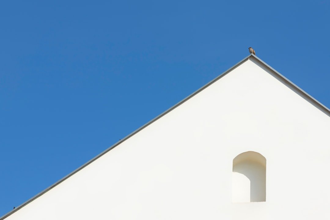 a bird is perched on top of a building