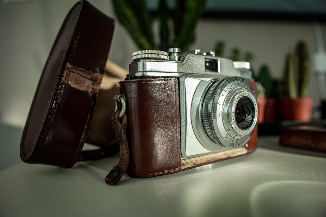 a camera sitting on top of a table next to a potted plant